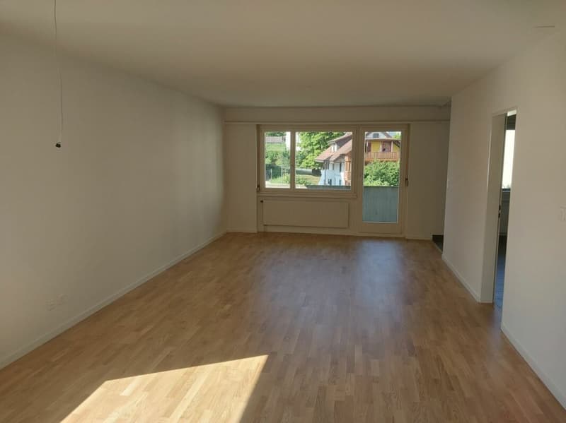Charmante 4.5 Zimmer-Wohnung im Dietikon (1)