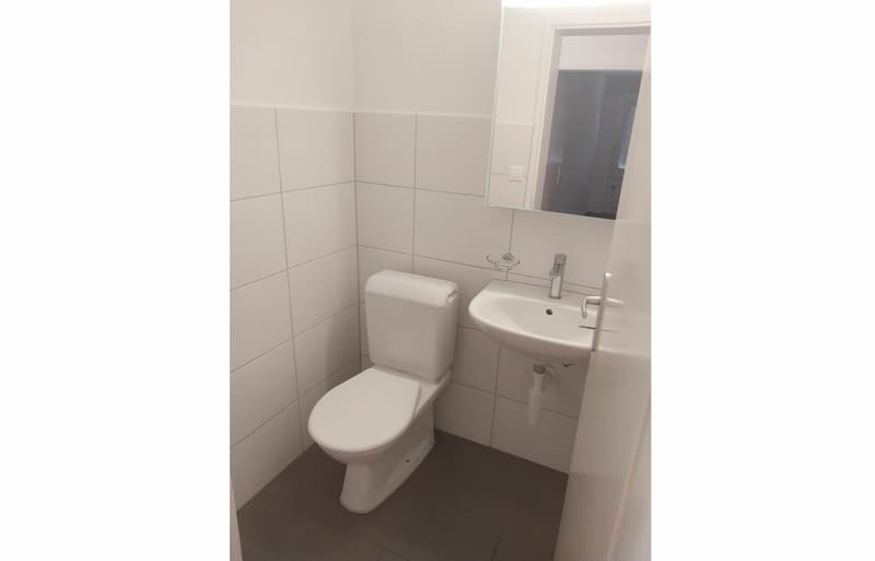 Charmante 4.5 Zimmer-Wohnung im Dietikon (7)