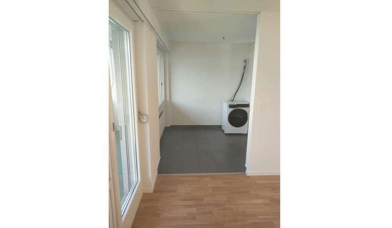 Charmante 4.5 Zimmer-Wohnung im Dietikon (9)