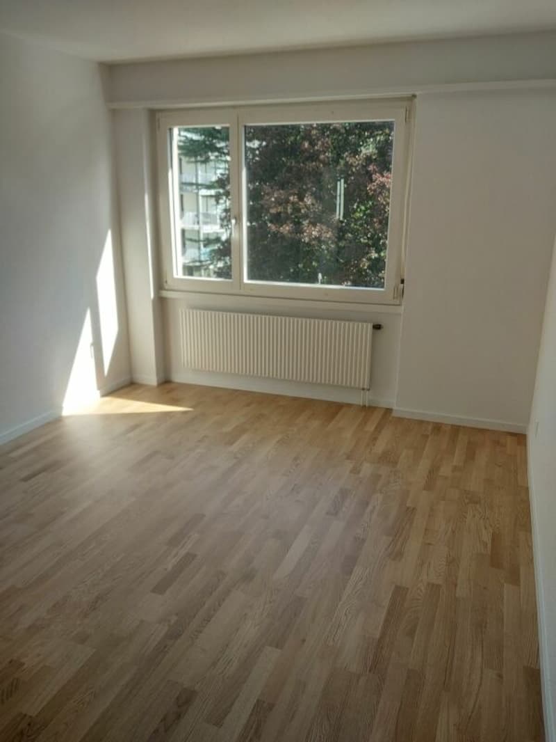 Charmante 4.5 Zimmer-Wohnung im Dietikon (6)