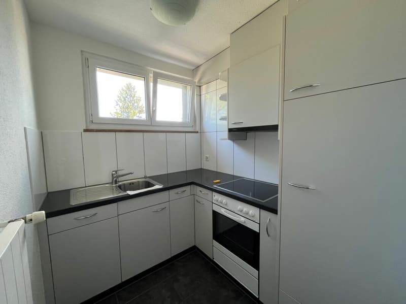 Charmante 1-5 Zimmer-Wohnung in Dübendorf (2)