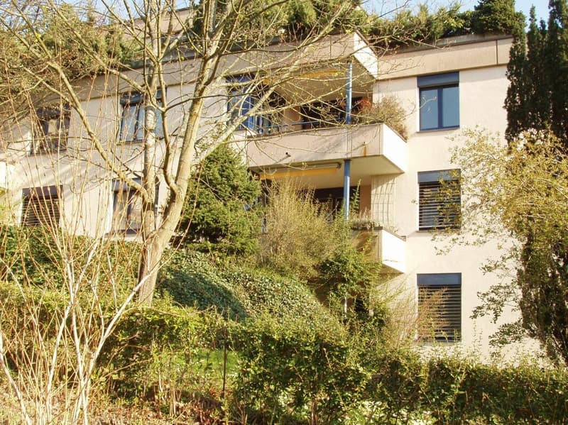 Grosszügige Wohnung an ruhiger Lage im Grünen (1)