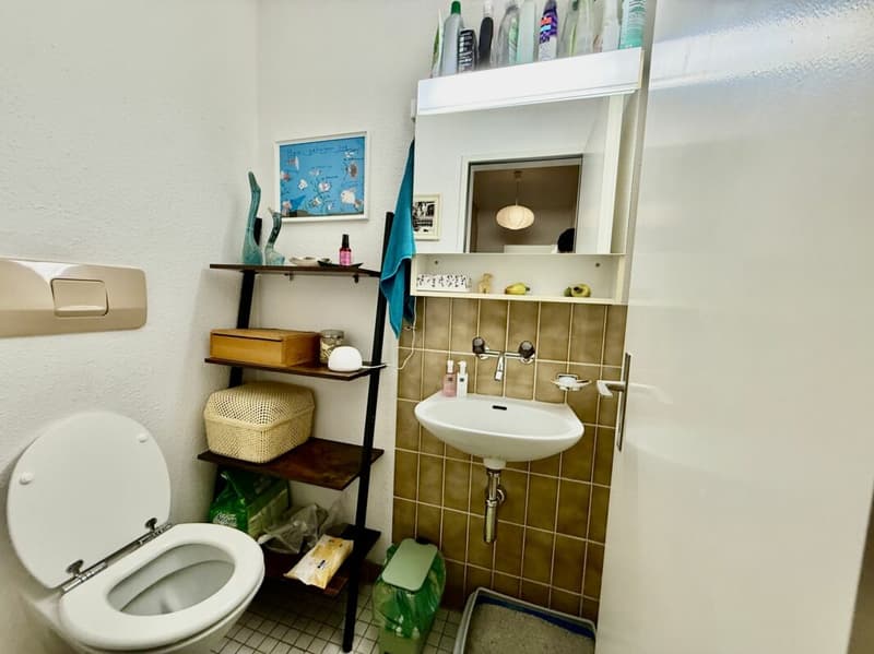 Zentral gelegene 3.5-Zimmer-Wohnung in Albisrieden mit eigenem Gartensitzplatz (9)