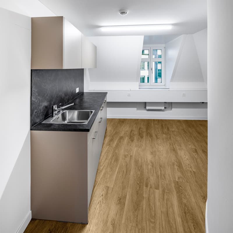 Votre nouvel emplacement au cœur de St. Gallen (6)