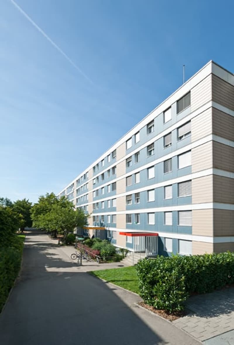 Einstellhallenplätze - Schützen Sie Ihr Auto vor Blütenstaub! (2)