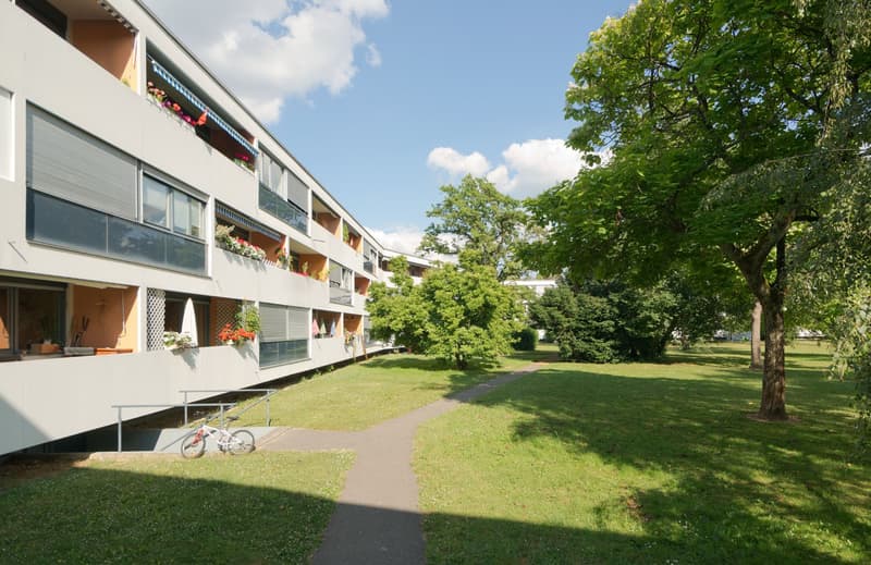 Magazzino funzionale situato nel quartiere di Grand-Saconnex (2)