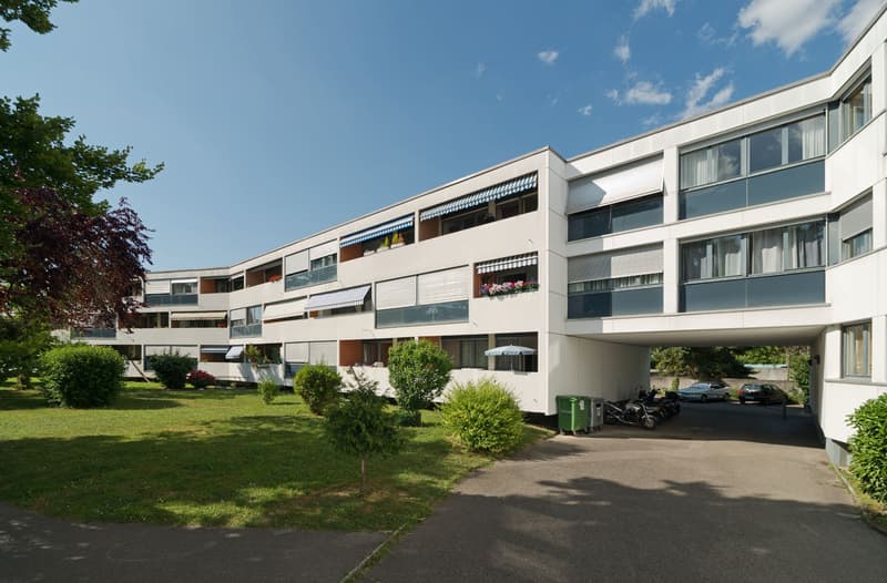 Dépôt fonctionnel situé dans le quartier du Grand-Saconnex (1)