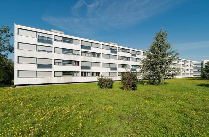 Un dépôt dans un immeuble d'habitation ! (2)