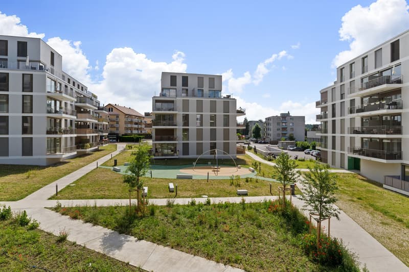 Jardin/potager à louer (1)