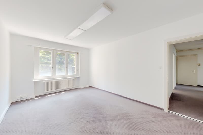 Right in the Neustadt (7)