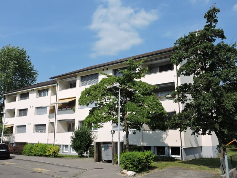 Einstellplaz in Aesch zu vermieten (1)