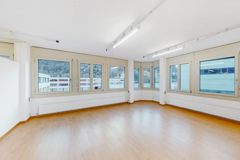 Large Commercial Spaces in Central Luserte (8)