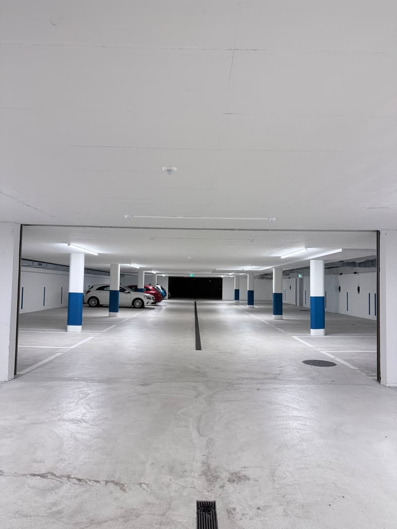 Einstellplätze zu vermieten an der Allenmoosstrasse 60a (4)