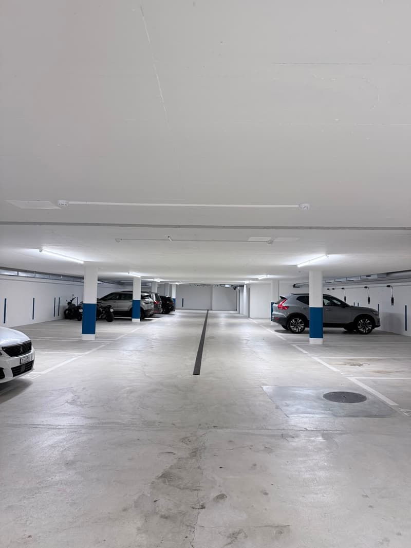 Einstellplätze zu vermieten an der Allenmoosstrasse 60a (2)