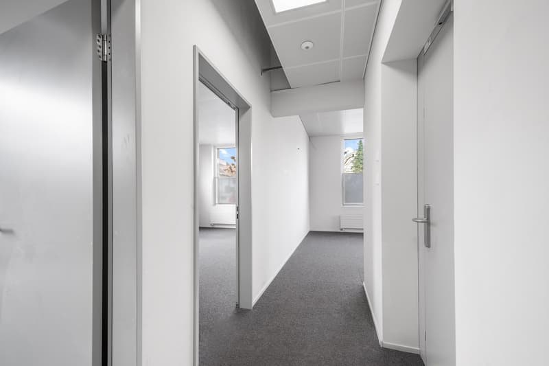 Plug & Play su Luzernerstrasse (4)