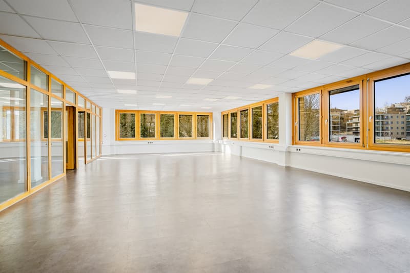 Helle Büro-/Praxisräumlichkeiten (1)