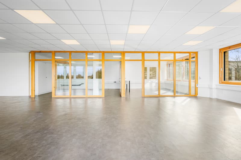 Helle Büro-/Praxisräumlichkeiten (3)