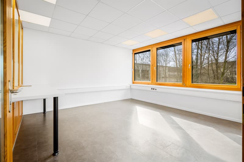 Helle Büro-/Praxisräumlichkeiten (7)