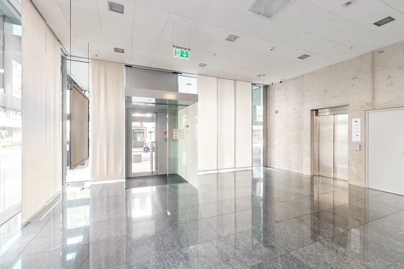 Donnez de la lumière à votre entreprise, espace commercial avec de grandes vitrines (2)