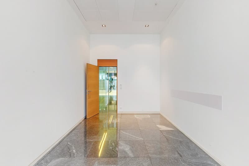 Donnez de la lumière à votre entreprise, espace commercial avec de grandes vitrines (8)
