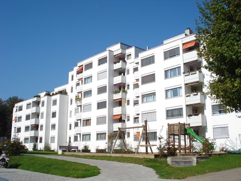 Nous louons un emplacement de parking à Aarau Rohr (2)