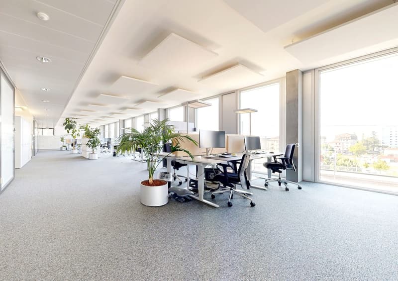 Installez votre entreprise au cur de Malley ! (2)
