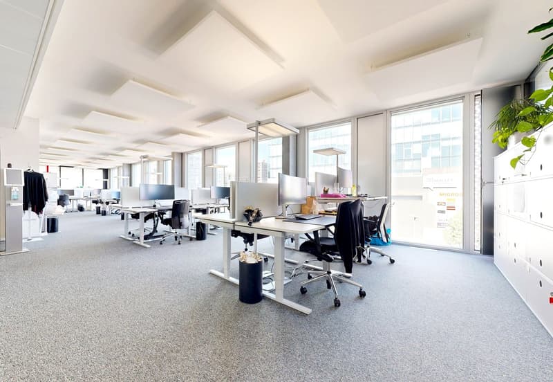 Installez votre entreprise au cur de Malley ! (4)