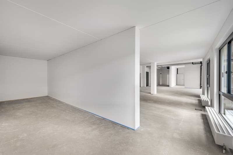 Büro- oder Gewerbefläche in der modernen Überbauung Sennenwies (10)