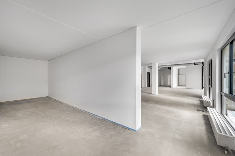 Büro- oder Gewerbefläche in der modernen Überbauung Sennenwies (10)