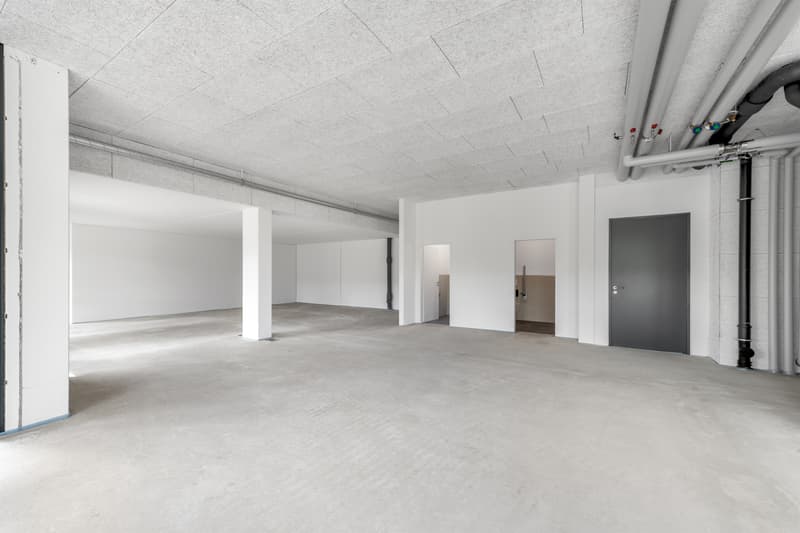 Büro- oder Gewerbefläche in der modernen Überbauung Sennenwies (5)