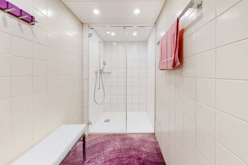236m² - Local commercial polyvalent - limité jusqu'au début 2027 (9)