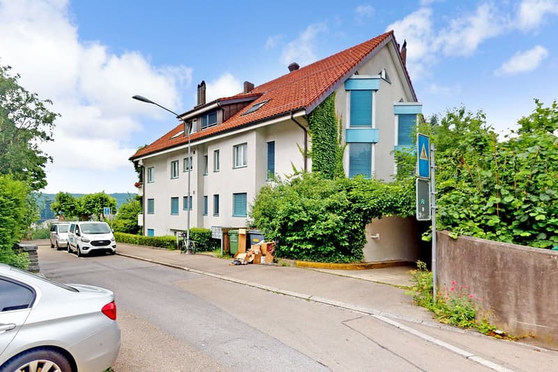 Doppeleinstellplatz im schönen Höngg (1)