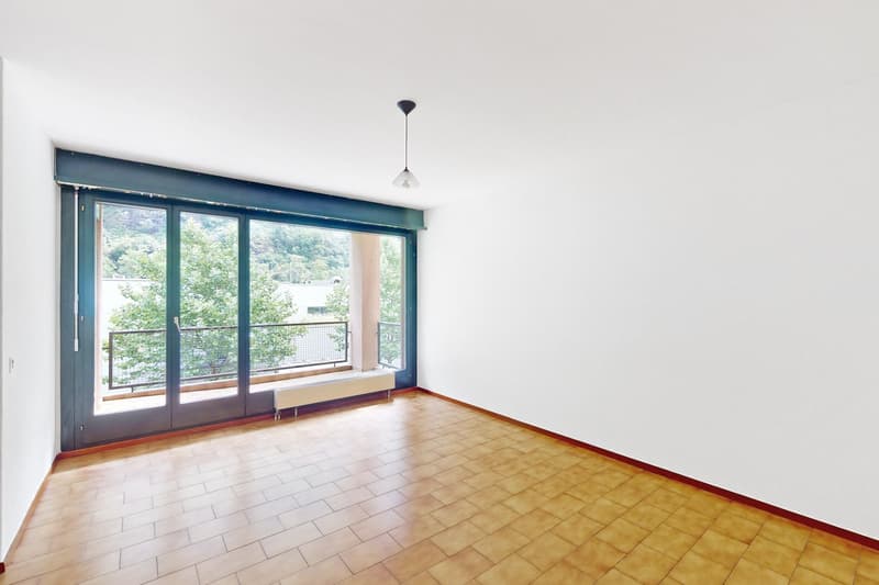 Ampio e funzionale 4.5 locali (6)