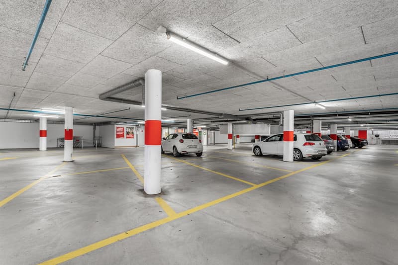 Sales area in Thurgipark - ideal for discounters and specialty stores (7)