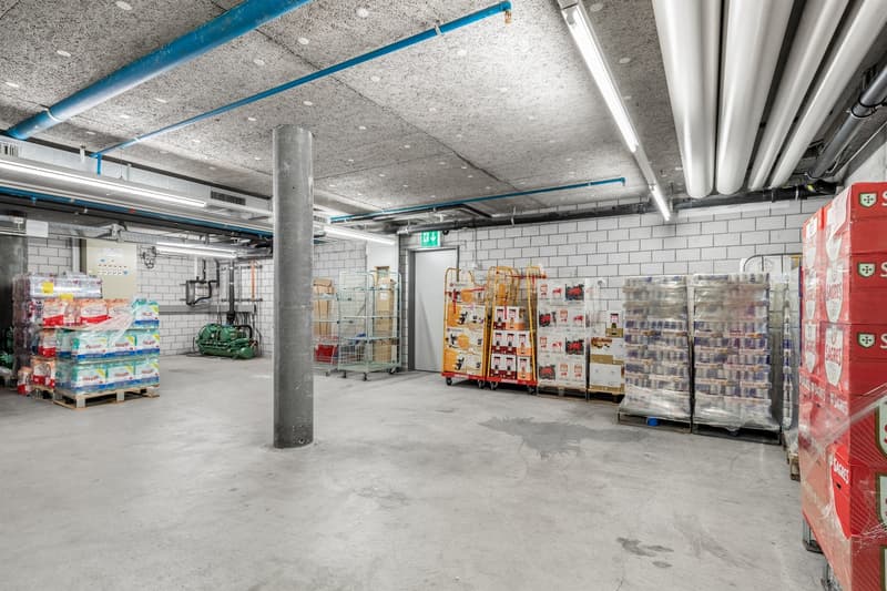 Sales area in Thurgipark - ideal for discounters and specialty stores (5)