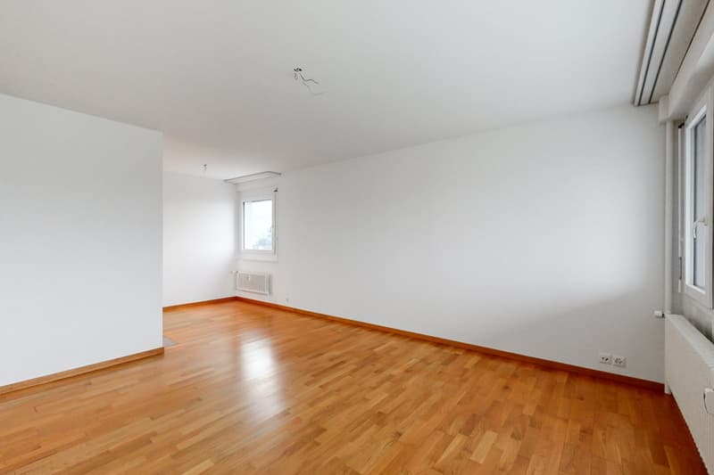 Rent without deposit - lovely view (5)