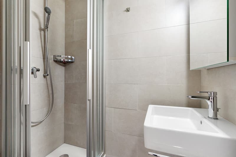 Logement spacieux et lumineux (10)