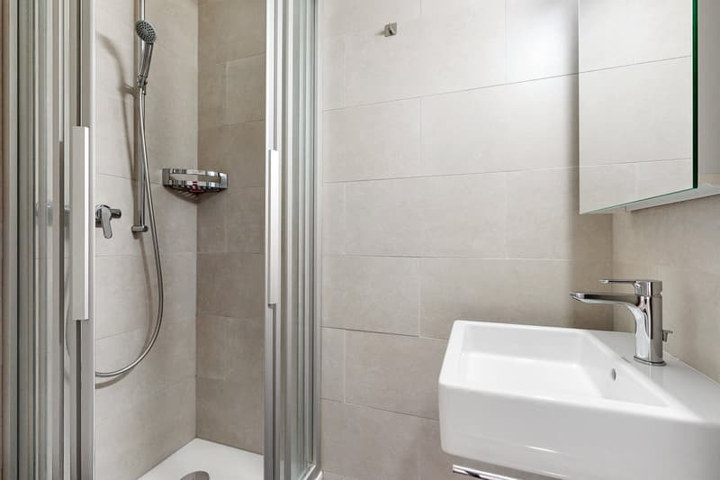Logement spacieux et lumineux (10)