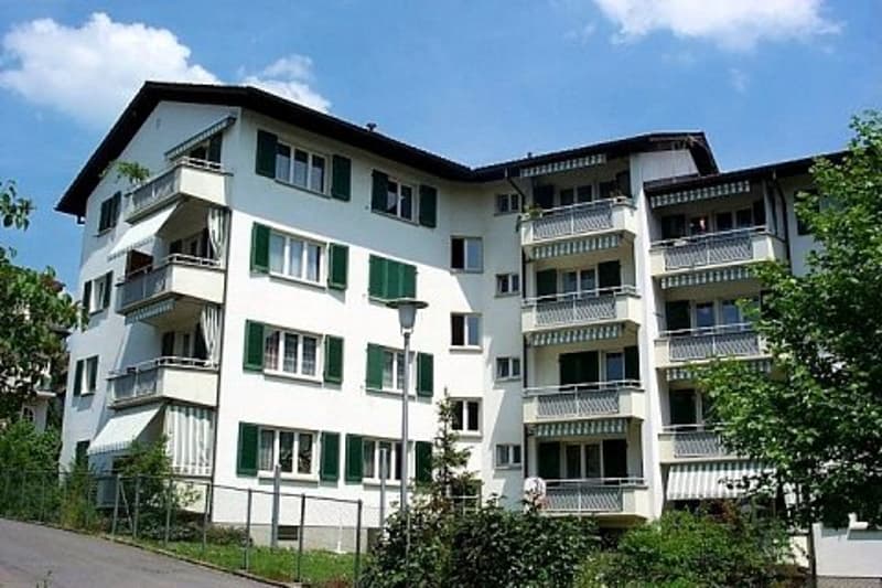 Verkaufsfläche, Büroräumlichkeiten oder Praxisfläche an zentraler Lage (1)