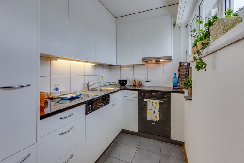 Modern apartment in a quiet neighborhood! (8)