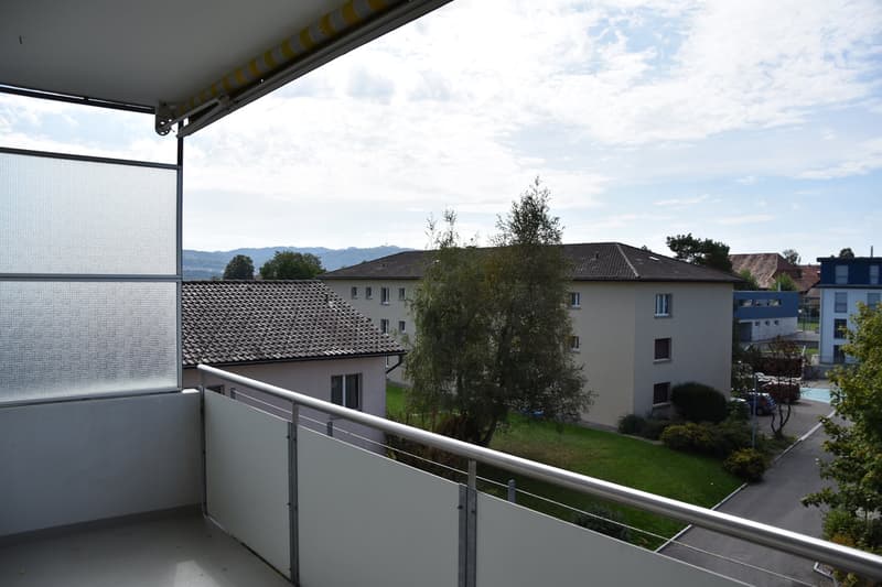 Moderne Wohnung in einem ruhigen Quartier! (10)