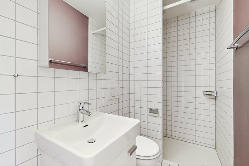 Ihr neues Zuhause wartet jetzt mit CHF 800.- Supergutschein! (12)