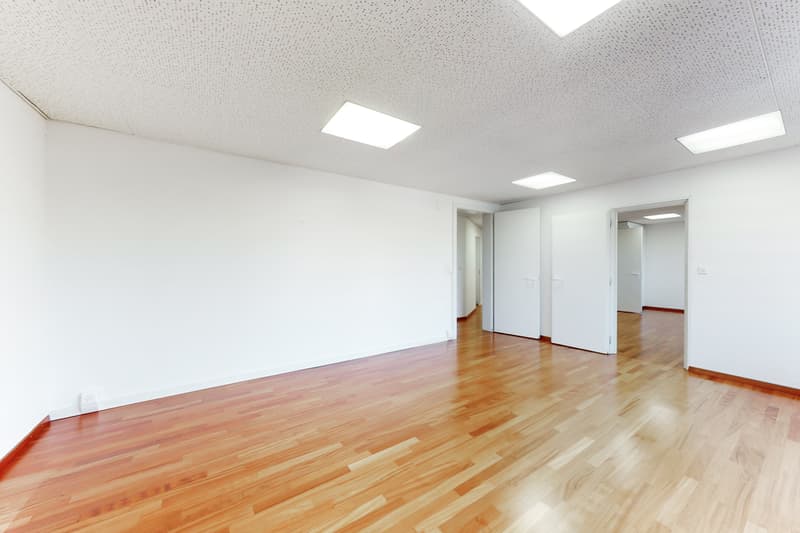Position your success in the center of Fribourg (3)