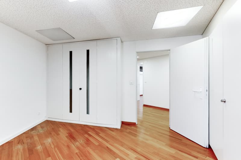 Position your success in the center of Fribourg (2)