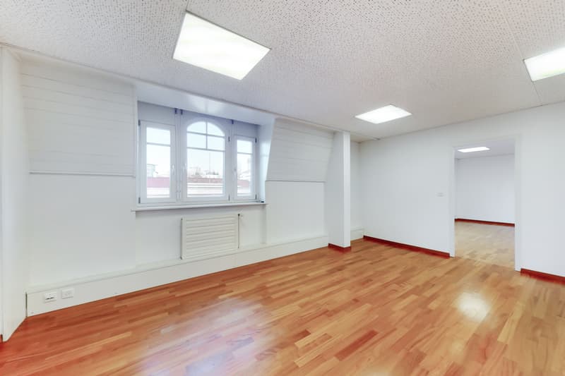 Position your success in the center of Fribourg (4)
