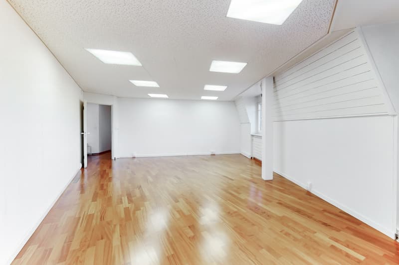 Position your success in the center of Fribourg (7)