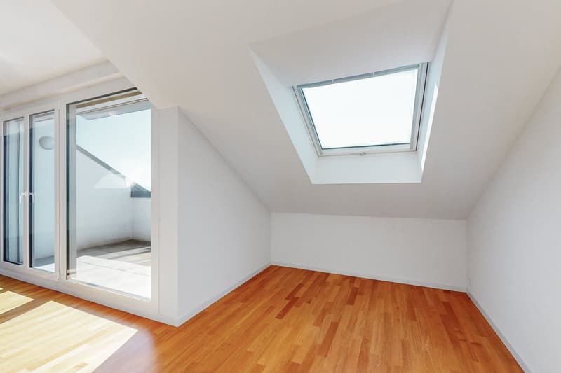 Superbe loft sous les combles (5)