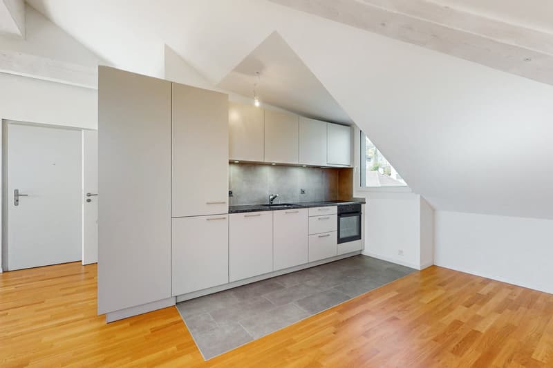 Superbe loft sous les combles (7)