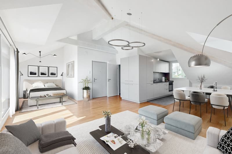 Superbe loft sous les combles (1)
