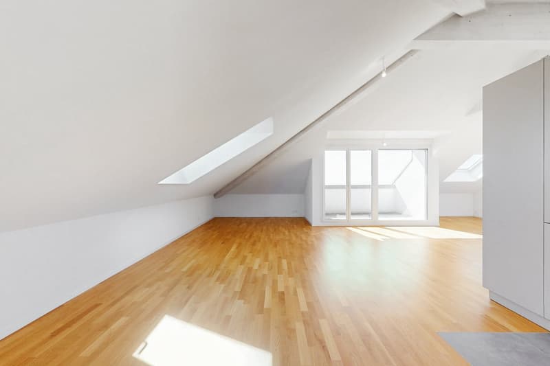 Superbe loft sous les combles (2)